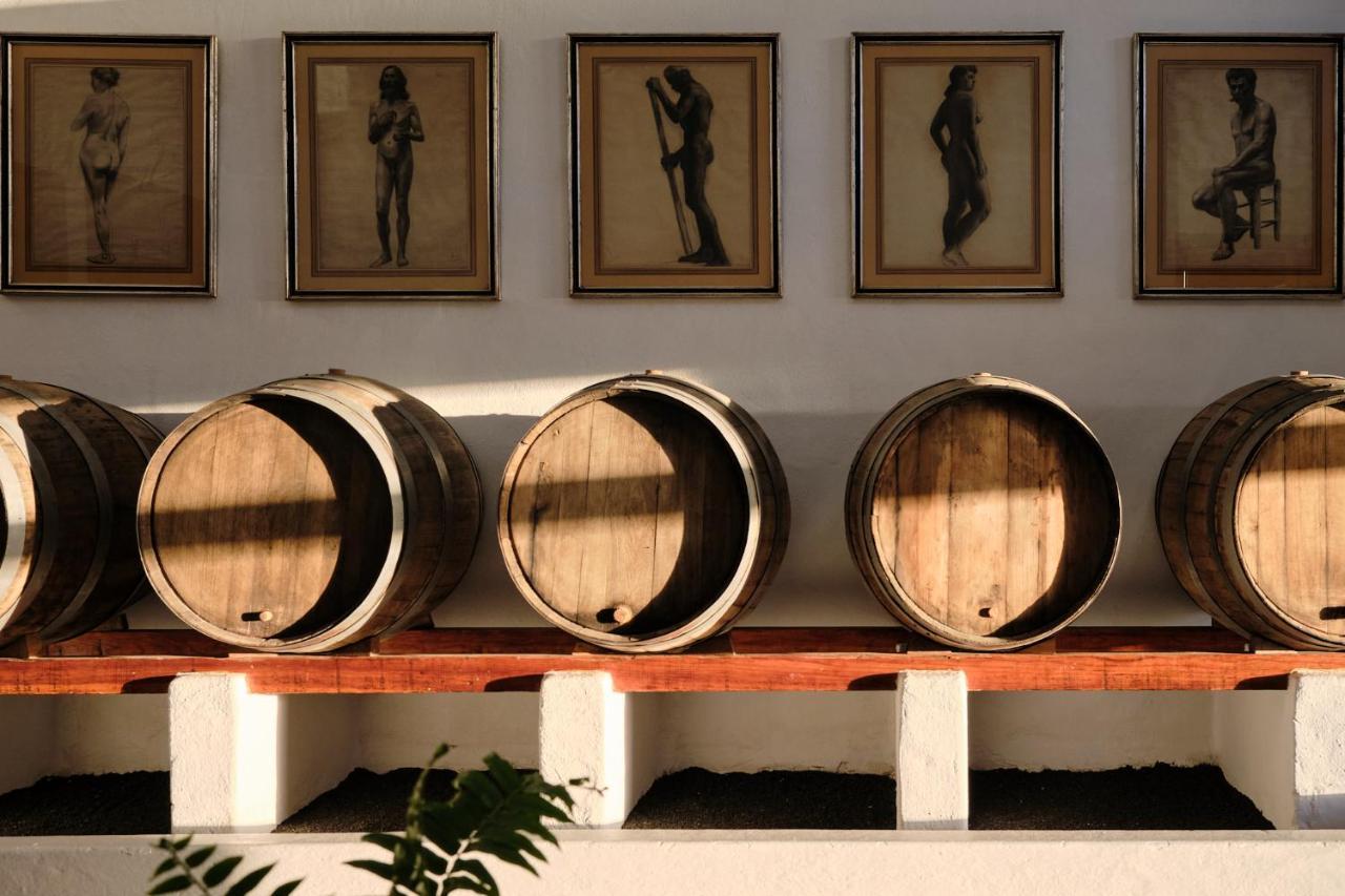 Ecofinca Aulaga Masdache Екстериор снимка