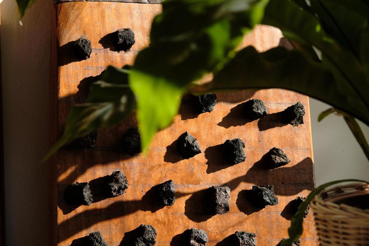 Ecofinca Aulaga Masdache Екстериор снимка